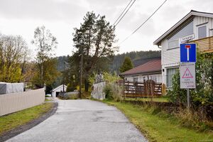 Kongsberg, Geiteganga-1.jpg