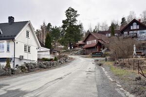 Kongsberg, Håvet-1.jpg