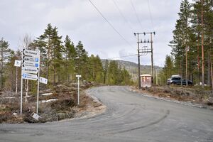 Kongsberg, Liaveien-1.jpg