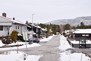 Kongsberg, Måltrostveien-1.jpg