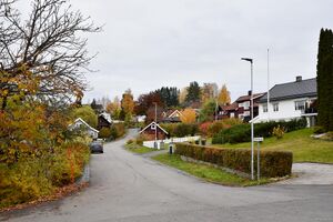 Kongsberg, Nordahl Bruns gate-1.jpg