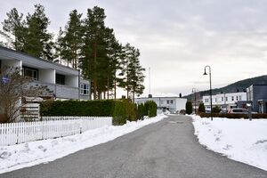 Kongsberg, Sidensvansen-1.jpg