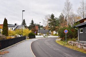 Kongsberg, Wergelands vei-1.jpg