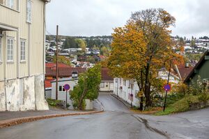 Kongsberg Apotekergata 191004.jpg