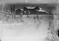Vinterbilde Foto: Narve Skarpmoen/Nasjonalbiblioteket