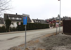 Kongsskogen vei i Asker 2016.jpg