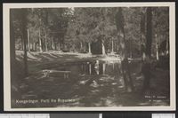 35. Kongsvinger. Parti fra Byparken - no-nb digifoto 20150803 00233 bldsa PK28456.jpg