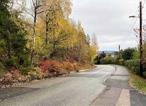 Konvallveien Bærum oktober 2020.jpg