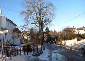 Kopperuds vei Oslo 2013.jpg