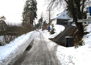 Korallveien Oslo 2015.jpg