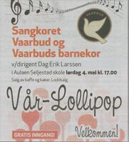 Harstad Tidende 3. mai 2013.