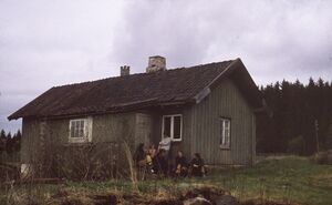 Kornfritt under Heggsvoll.jpg