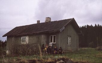 Kornfritt under Heggsvoll.jpg