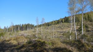 Korsgårdseterlia (be-2015-05-14-DSCN2534).JPG