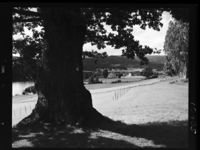 324. Krøderen - no-nb digifoto 20150225 00104 NB MIT FNR 10905.jpg