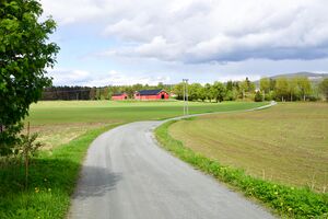 Krødsherad, Øvre Skinnesveien-1.jpg