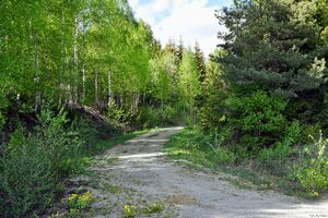 Krødsherad, Annehullveien-1.jpg