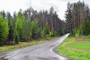 Krødsherad, Bjøreskogveien-1.jpg