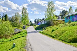 Krødsherad, Briskåsveien-1.jpg