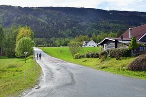 Krødsherad, Dalstasjonsveien-1.jpg
