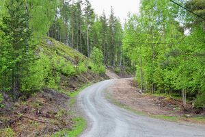 Krødsherad, Heimseterveien-1.jpg