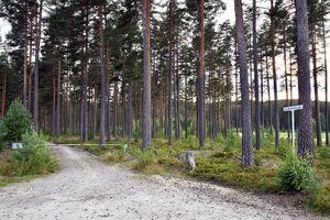 Krødsherad, Leirskvenneveien-1.jpg