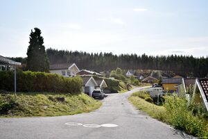 Krødsherad, Nedre Glesnemoen-1.jpg