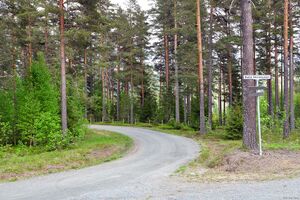 Krødsherad, Nedre Skinnesveien-1.jpg