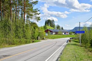 Krødsherad, Soknedalsskogen-1.jpg