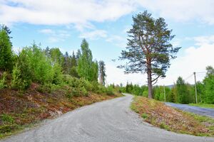 Krødsherad, Surtebergveien-1.jpg