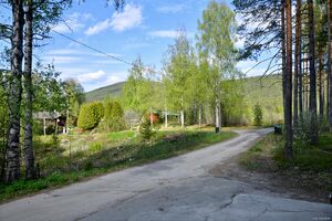 Krødsherad, Vengardslia-1.jpg