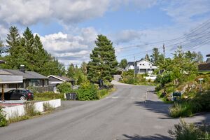 Kragerø, Hasseldalsveien-1.jpg