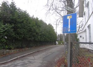 Kransen Oslo 2014.jpg