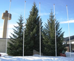 Krigsskolen, Linderud 3 graner.jpg