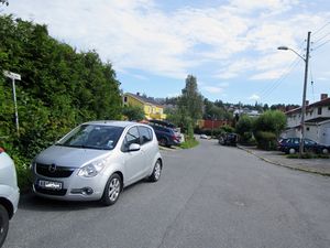 Kringkollen vei i Oslo 2015.JPG