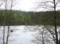 Vannet Kringla ligger ved Solemskogen. Foto: Stig Rune Pedersen (2015)