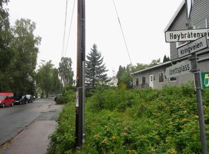 Kringveien Oslo 2013.jpg