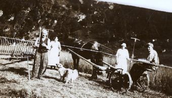 Kristen Ormbergstøl, Johanna Ormbergstøl, Marta Ormbergstøl, Melchior Ormbergstøl.jpg