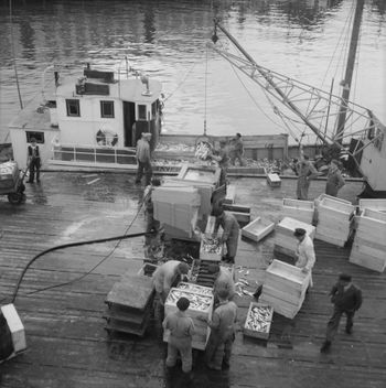 Kristian Holsts fiskemottak.jpg