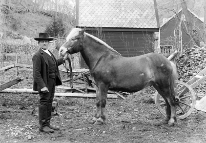 Kristian Heltne fra Luster i Sogn var en kjent driftekar.