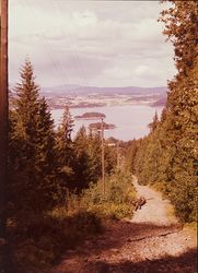 Kongevei i Krokkleiva ved Tyrifjorden, Steinsfjorden, Hole, Buskerud. Foto: Nasjonalbiblioteket (1961).