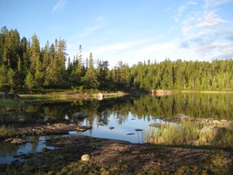 Krokvannet (be-2008-07-18-IMG 2402).JPG