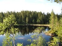 Krokvannet (be-2008-07-18-IMG 2403).JPG