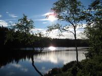 Krokvannet (be-2008-07-18-IMG 2410).JPG