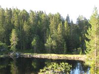 Krokvannsdammen (be-2008-07-18-IMG 2404).JPG