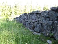 Krokvannsdammen (be-2008-07-18-IMG 2417).JPG