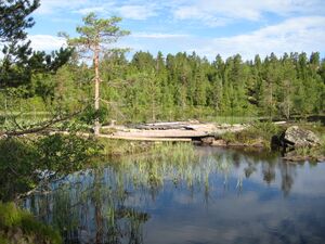 Krokvannsløken dam (Eiker).JPG