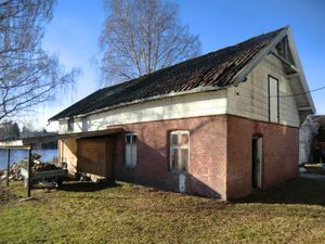 Krukes bakeri (CIMG2154).JPG