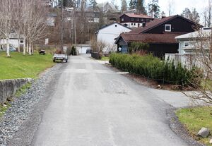 Krumveien Bærum 2016.jpg