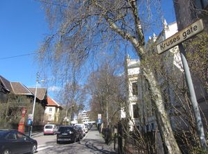 Kruses gate Oslo 2014.jpg